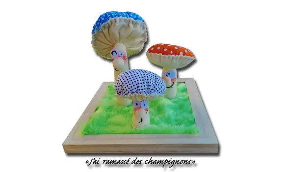 J'ai ramassé des champignons